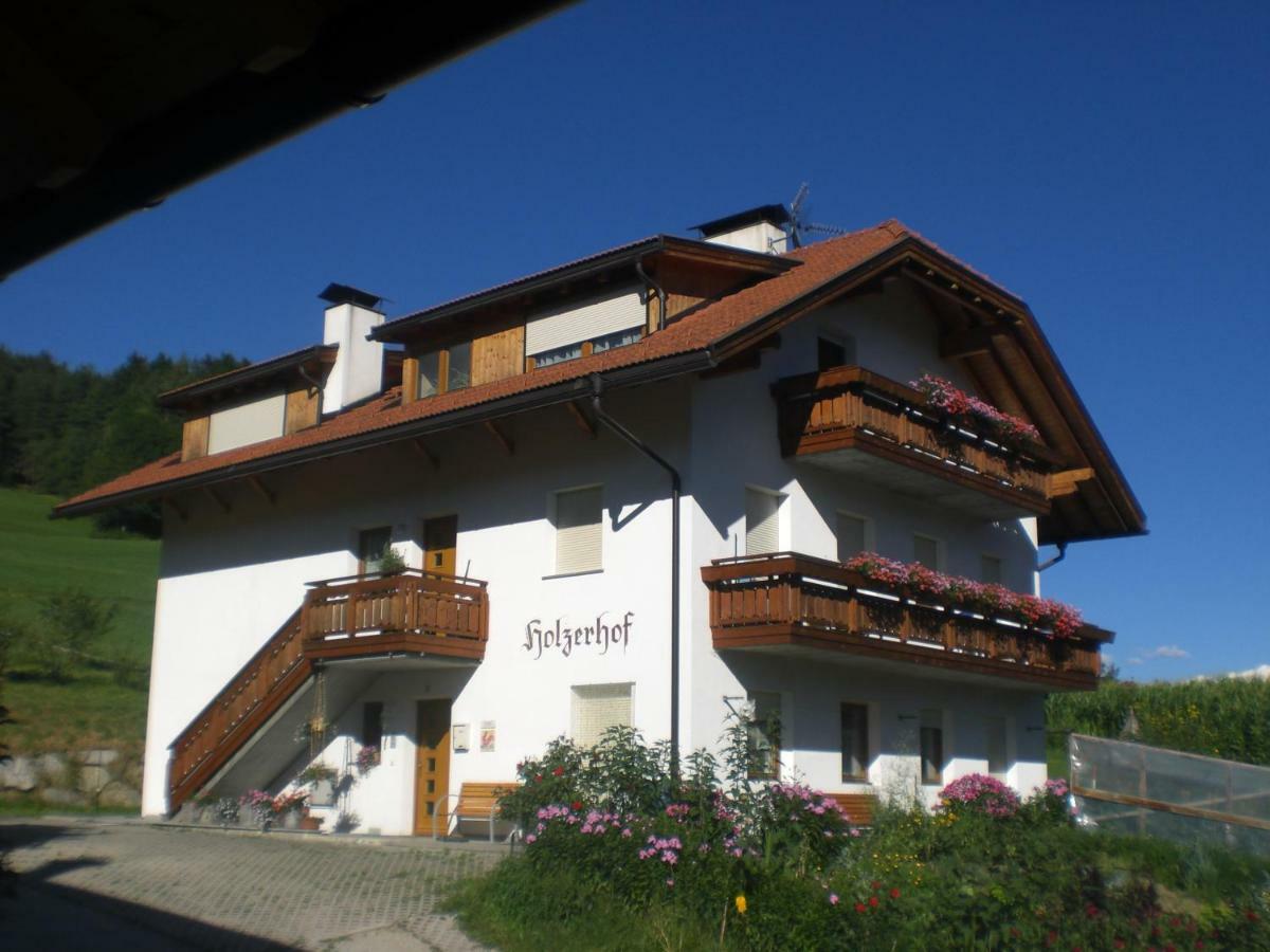 Holzerhof Lothen Campolino 5 Sankt Lorenzen Exterior photo